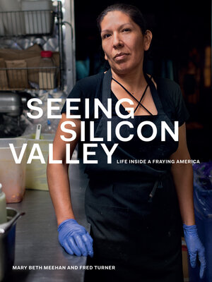 cover image of Seeing Silicon Valley